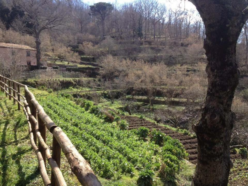 Villa Valle Maira, Agriturismo Nel Parco Dei Nebrodi Tortorici Exterior foto