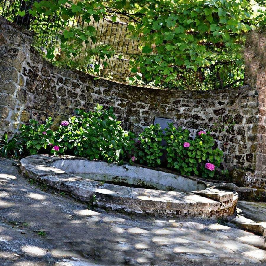 Villa Valle Maira, Agriturismo Nel Parco Dei Nebrodi Tortorici Exterior foto