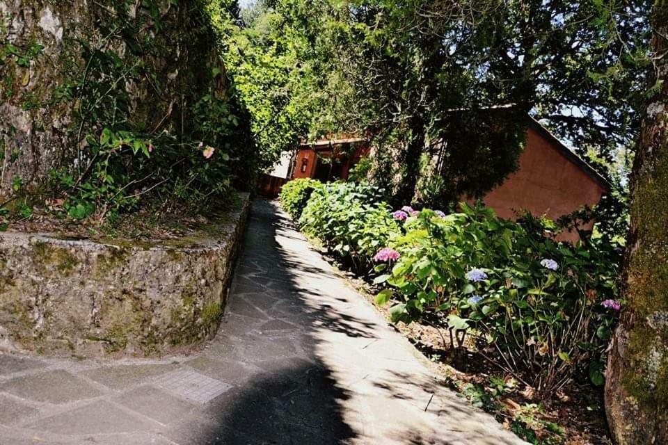 Villa Valle Maira, Agriturismo Nel Parco Dei Nebrodi Tortorici Exterior foto
